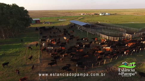 FAZENDA À VENDA NO RS COM 2274 HA (2).00_03_42_10.Quadro022_a9d5801e435dad1b584133a31d436a2940b2684c.png